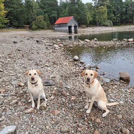 The Shelter Stone Cottage Aviemore Buitenkant foto