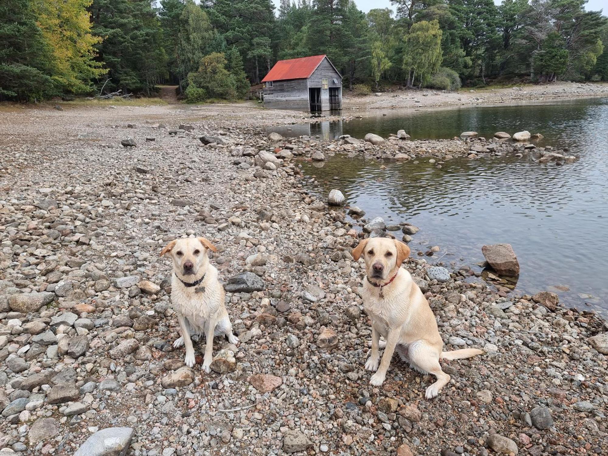 The Shelter Stone Cottage Aviemore Buitenkant foto